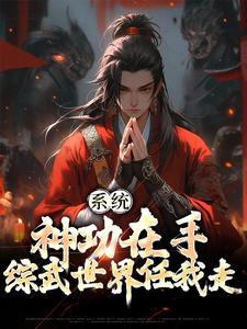 系统：神功在手，综武世界任我走