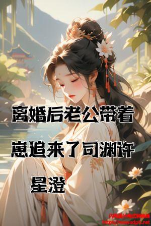 离婚后老公带着崽追来了司渊许星澄全文免费试读