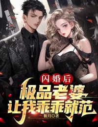 闪婚后，极品老婆让我乖乖就范全文免费试读