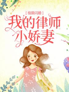 极限闪婚：我的律师小娇妻全文免费试读